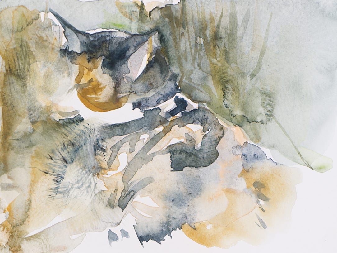Watercolor painting of cats