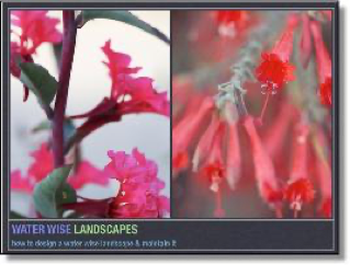 Water wise landscape design lecture image